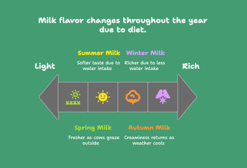 Mik flavor
